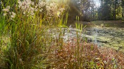 dreamstime_m_184906435 dreamstime_m_184906435