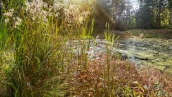 674e23b5e50dee324aa6c2bc Dreamstime M 184906435 674e23b5e50dee324aa6c2bc Dreamstime M 184906435