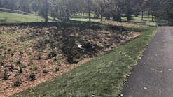 img_9073_1 img_9073_1