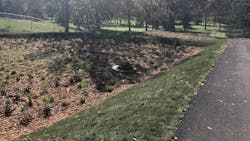 675c6be49af97b25cea54c27 Img 9073 1 675c6be49af97b25cea54c27 Img 9073 1