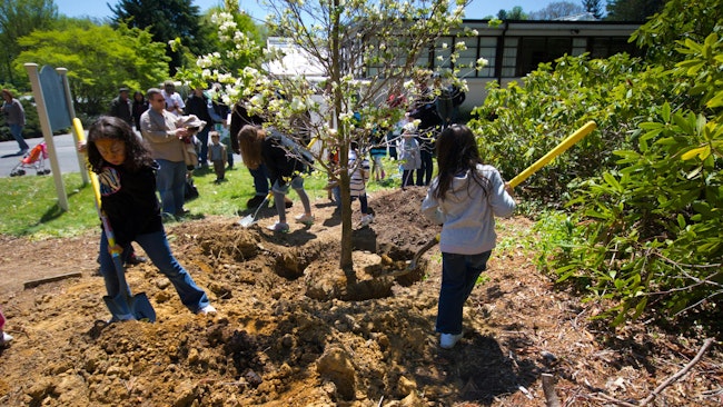 Children assist in Tree Planting Ceremony at Arbor Day Celebration at Planting Fields Arboretum in Oyster Bay NY on April 29, 2012.