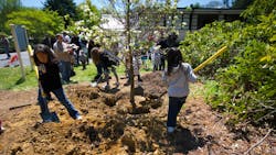 Children assist in Tree Planting Ceremony at Arbor Day Celebration at Planting Fields Arboretum in Oyster Bay NY on April 29, 2012. Children assist in Tree Planting Ceremony at Arbor Day Celebration at Planting Fields Arboretum in Oyster Bay NY on April 29, 2012.