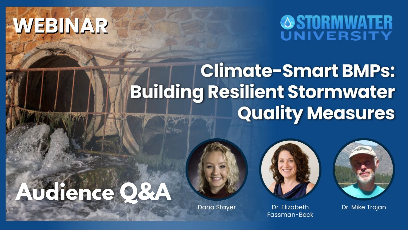 6765986a895ee8ac57598bec Audience Qa 6