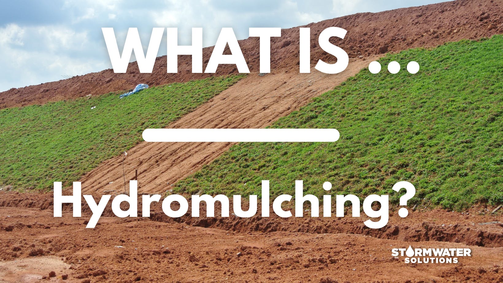 6765e93c05495e223d1e188e What Is