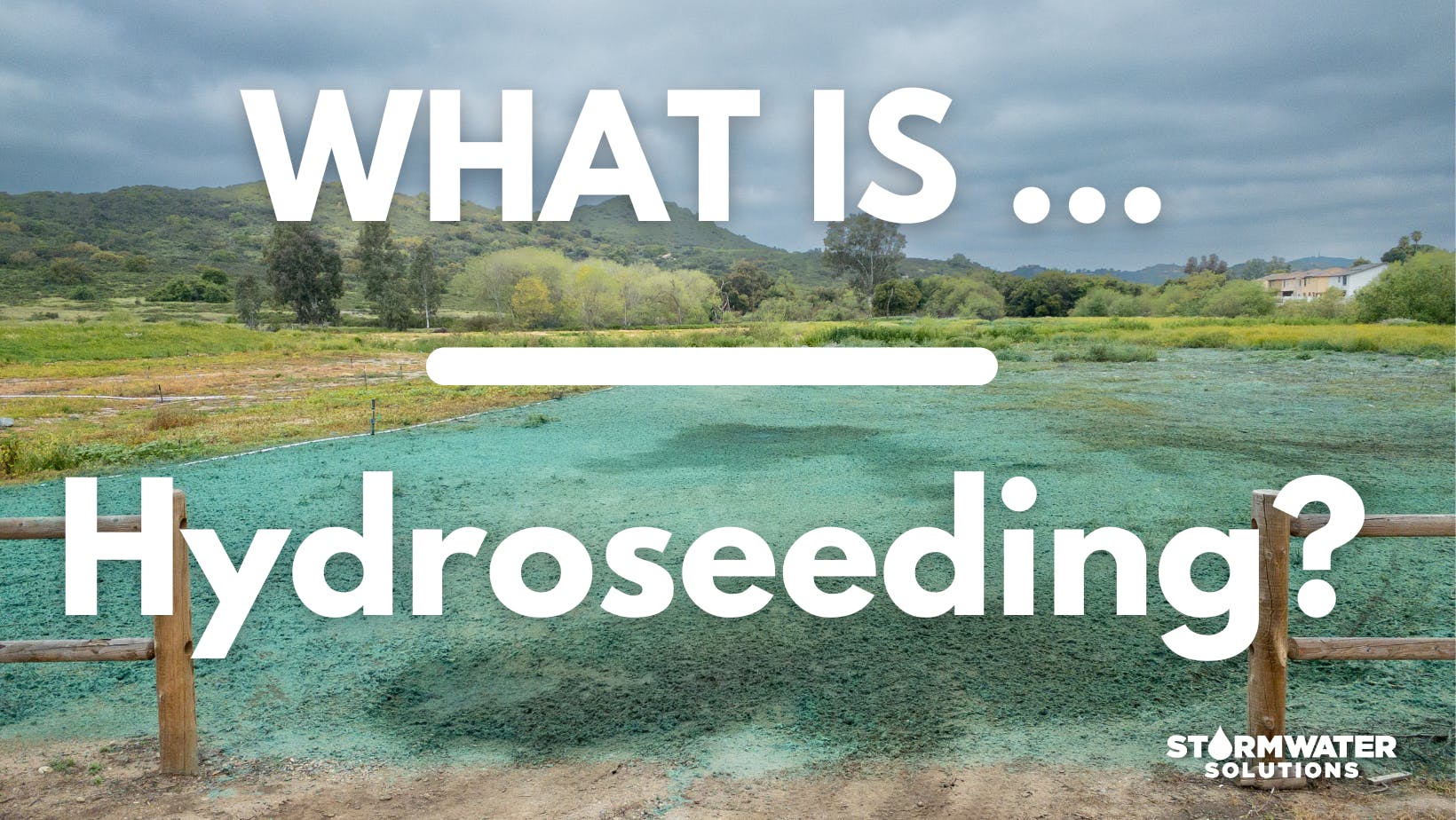 676edbbe7830a1fb79fea79d What Is