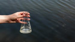 6772d52eeddc89361c548a03 Dreamstime L 169668070 6772d52eeddc89361c548a03 Dreamstime L 169668070