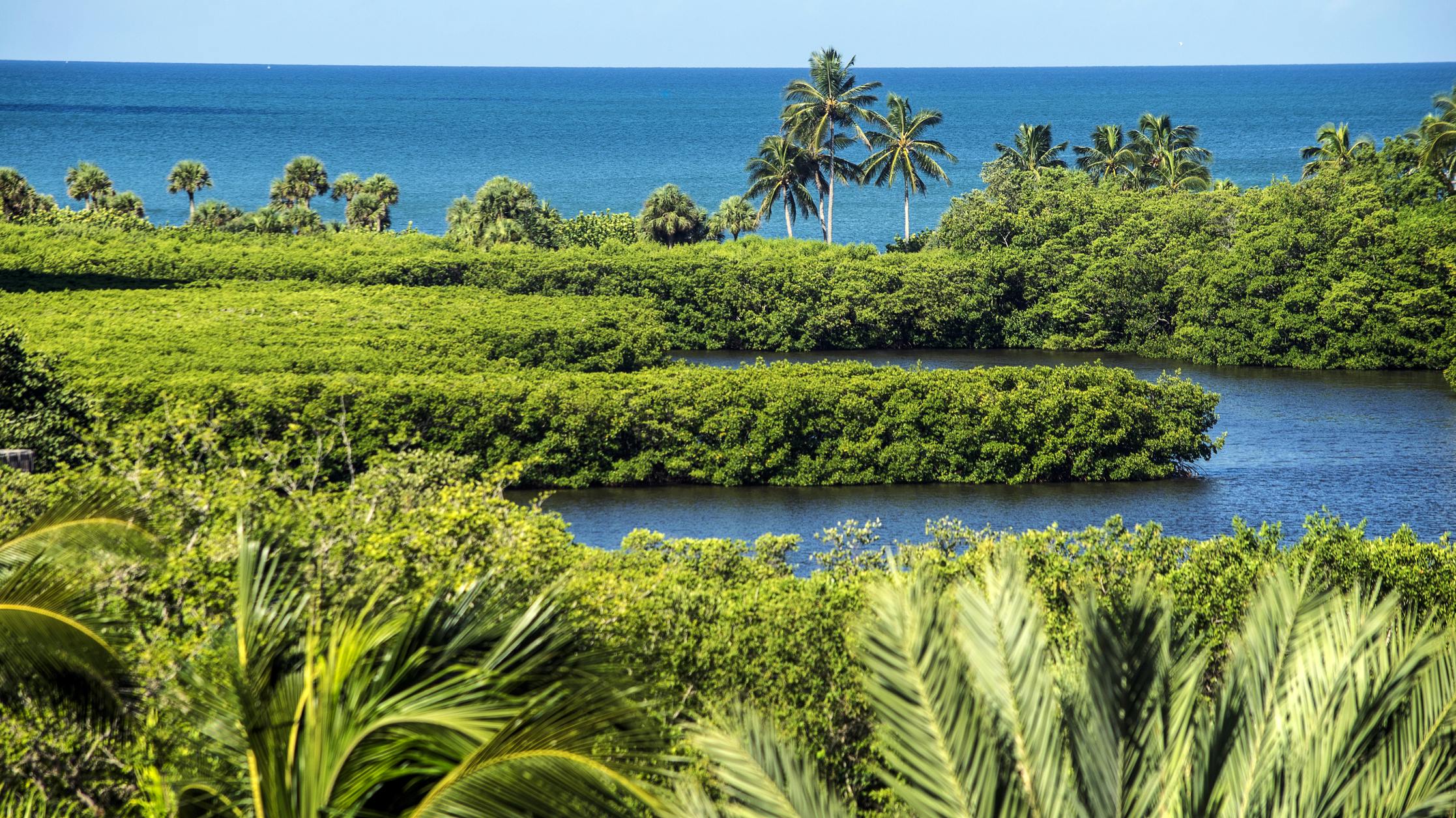 677ee253187a04515b078209 Dreamstime M 82007014