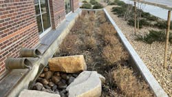 Rain garden designs often incorporate specific plants to provide visual intrigue and promote water quality. Rain garden designs often incorporate specific plants to provide visual intrigue and promote water quality.