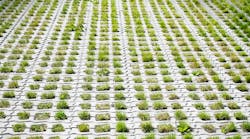 dreamstime_xxl_23352175 dreamstime_xxl_23352175