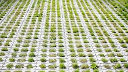 67ae5f2952fb98b6334c692e Dreamstime Xxl 23352175 67ae5f2952fb98b6334c692e Dreamstime Xxl 23352175