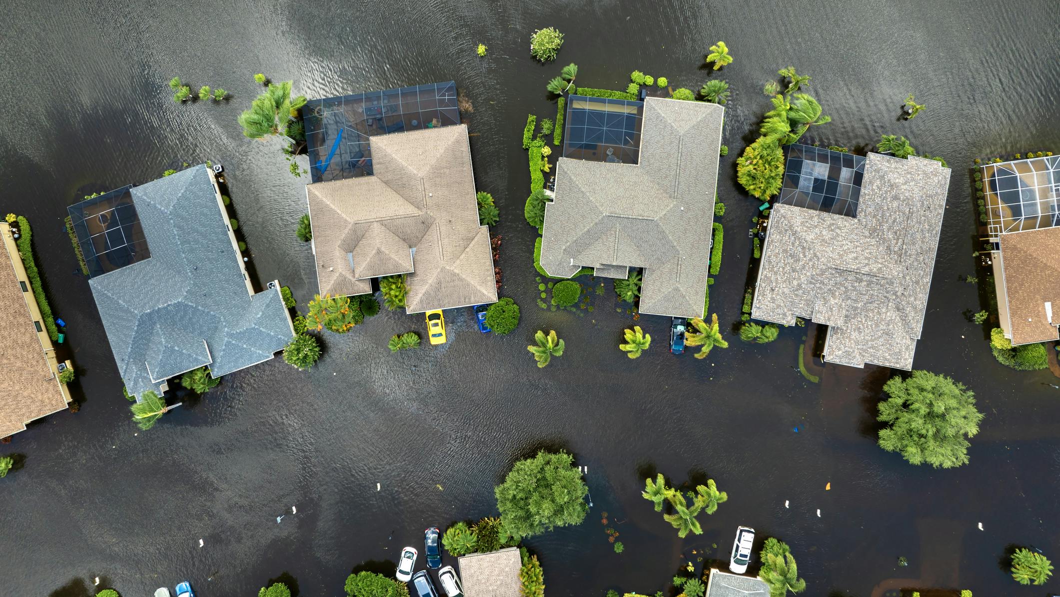 67bccf1775a95aad7fab5f39 Dreamstime M 335479459