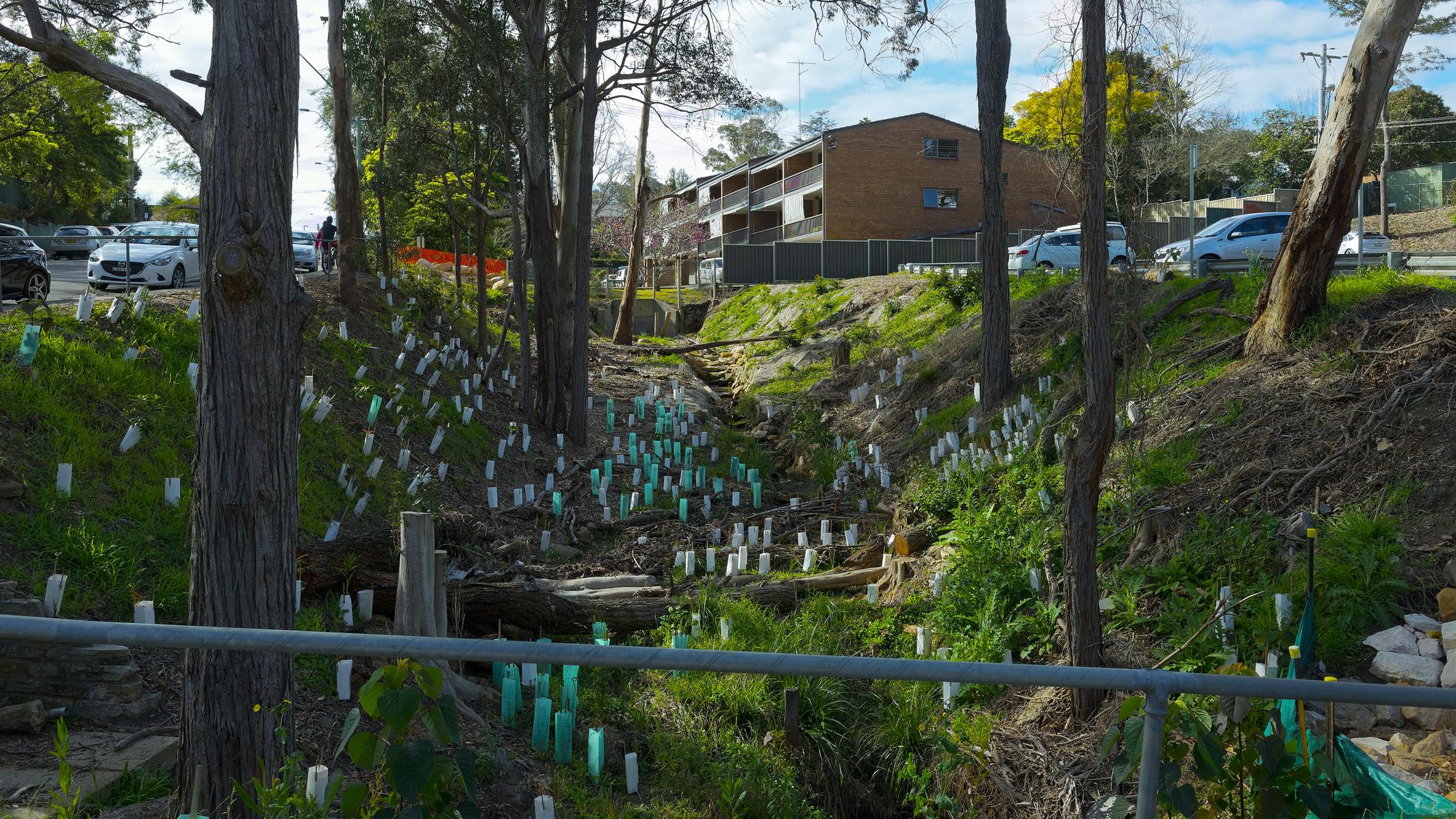 dreamstime_m_351852922