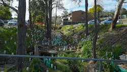 67be1cb236e32eedf690c810 Dreamstime M 351852922 67be1cb236e32eedf690c810 Dreamstime M 351852922