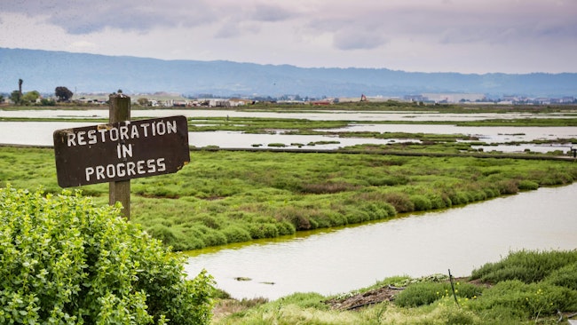 Restoration sign in the wetlands in Alviso Marsh, Don Edwards wildlife refuge, south San Francisco bay, California