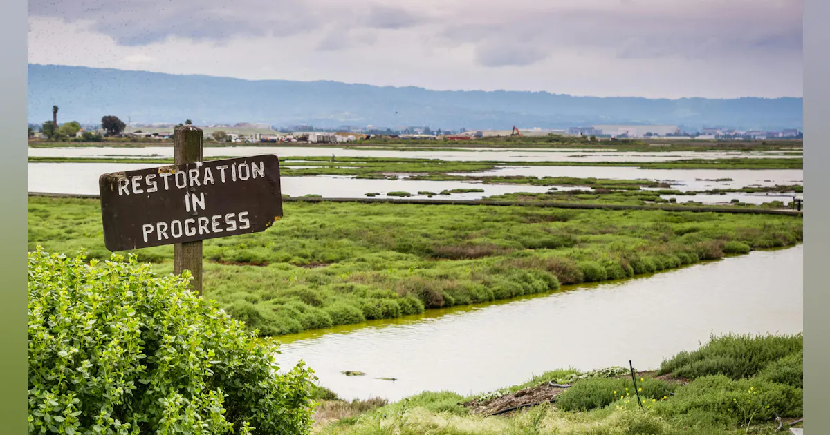 million in grants awarded to 14 California conservation and restoration projects million in grants awarded to 14 California conservation and restoration projects