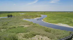 Airboating on the St Johns River in Brevard County, Florida.