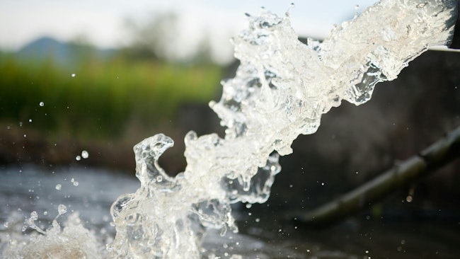 67d094c5b3f9d7c15a750e89 Dreamstime L 146983075