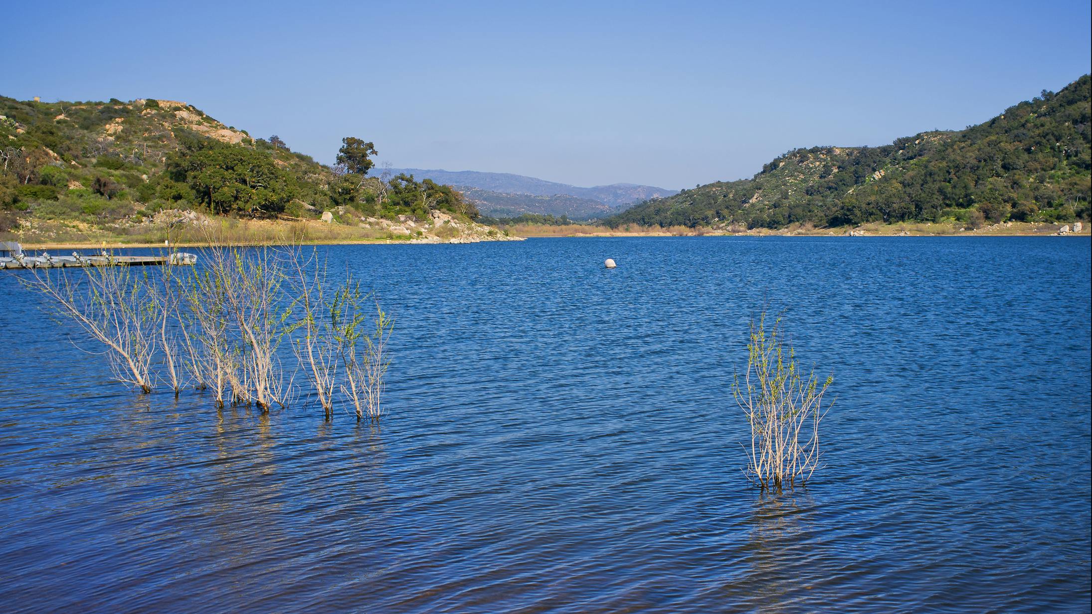 67d1dfc9be708df00b441c22 Dreamstime M 23904038