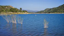 dreamstime_m_23904038