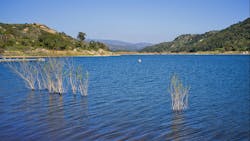 67d1dfc9be708df00b441c22 Dreamstime M 23904038 67d1dfc9be708df00b441c22 Dreamstime M 23904038