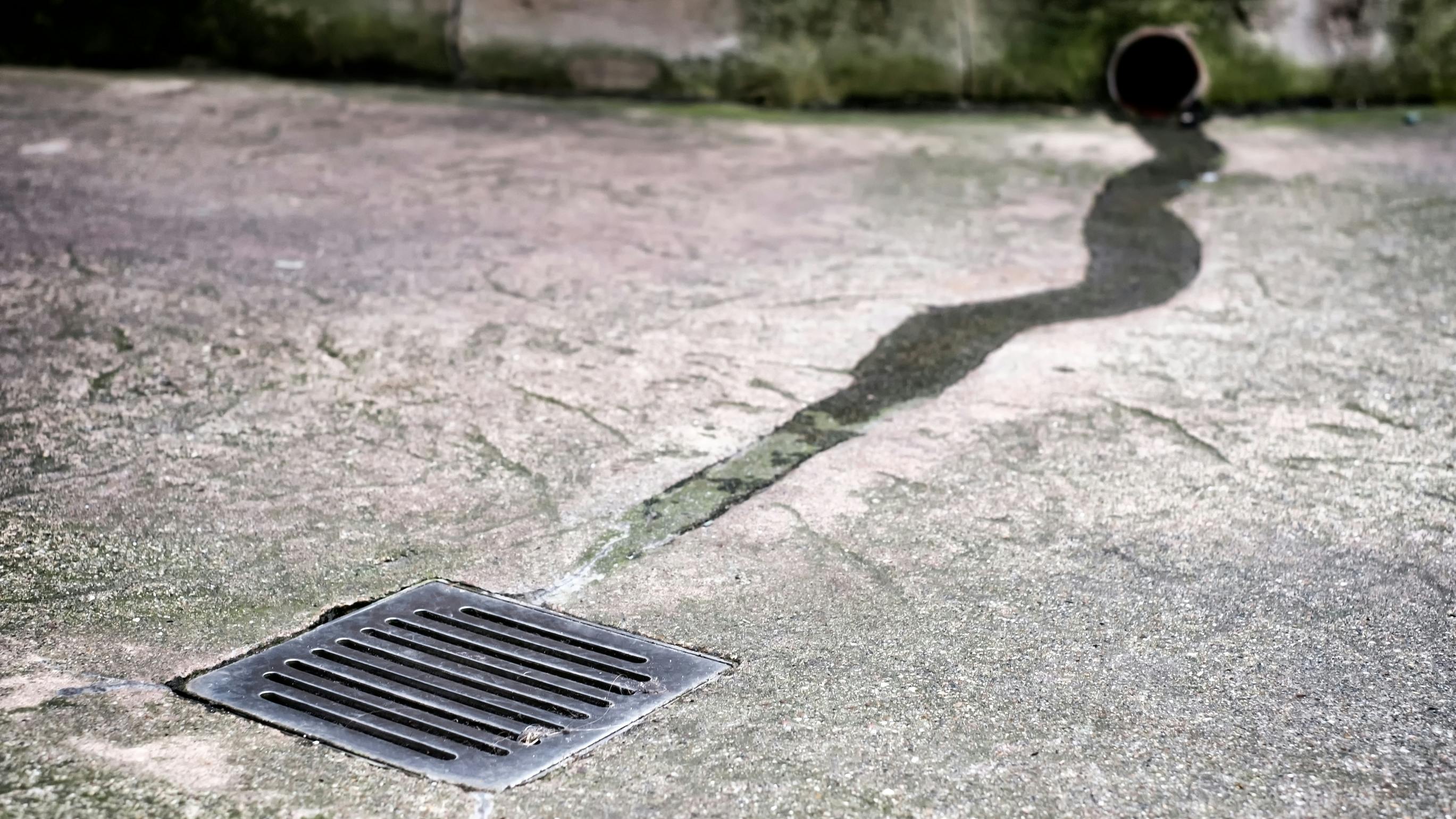 67ead78cc768c7e5343cc4a1 Dreamstime L 162776574