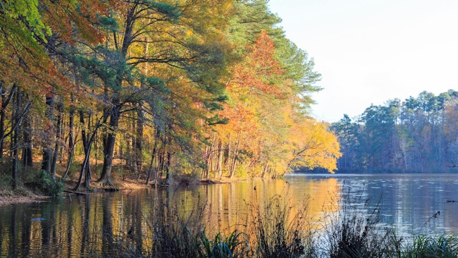 Lake Johnson in Raleigh, NC during fall season