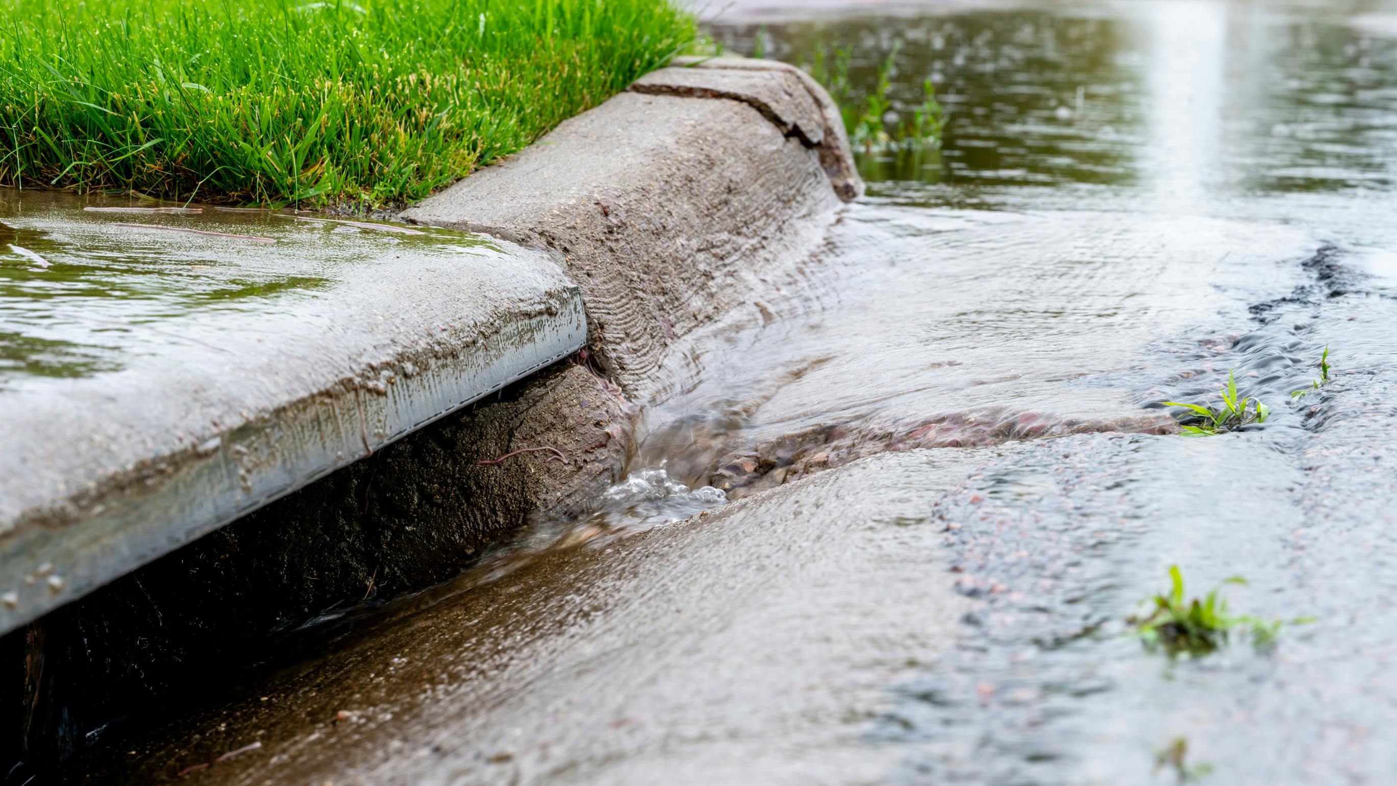 dreamstime_l_323521398