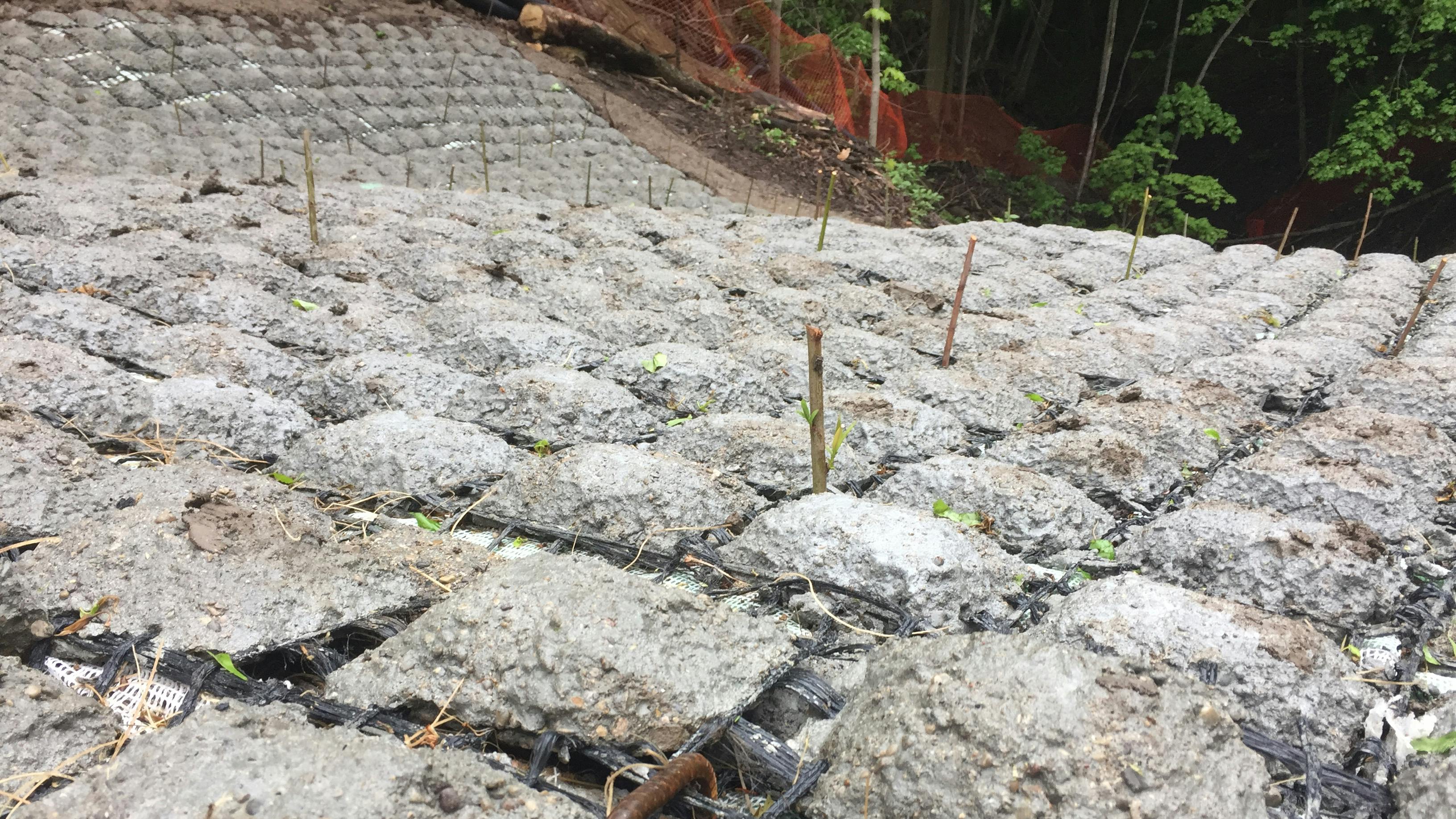 Anchors, rebars and plantings.