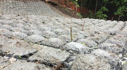 Anchors, rebars and plantings. Anchors, rebars and plantings.