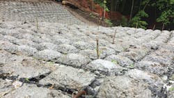 Anchors, rebars and plantings. Anchors, rebars and plantings.