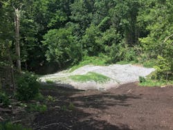 Vegetation a few weeks after installation. Vegetation a few weeks after installation.