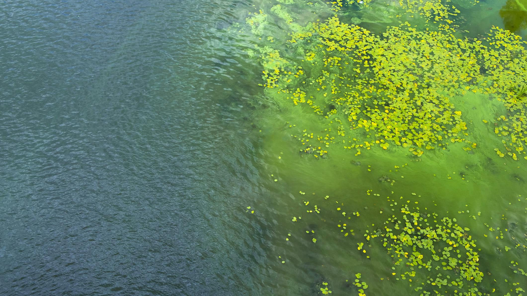 EPA announces $3.7 million in grants to reduce HABs in Lake Erie