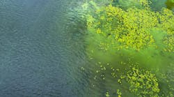 EPA announces $3.7 million in grants to reduce HABs in Lake Erie EPA announces $3.7 million in grants to reduce HABs in Lake Erie