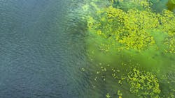 EPA announces $3.7 million in grants to reduce HABs in Lake Erie EPA announces $3.7 million in grants to reduce HABs in Lake Erie