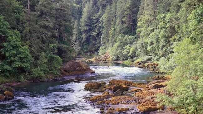 EPA establishes temperature restoration plan for Umpqua River Basin