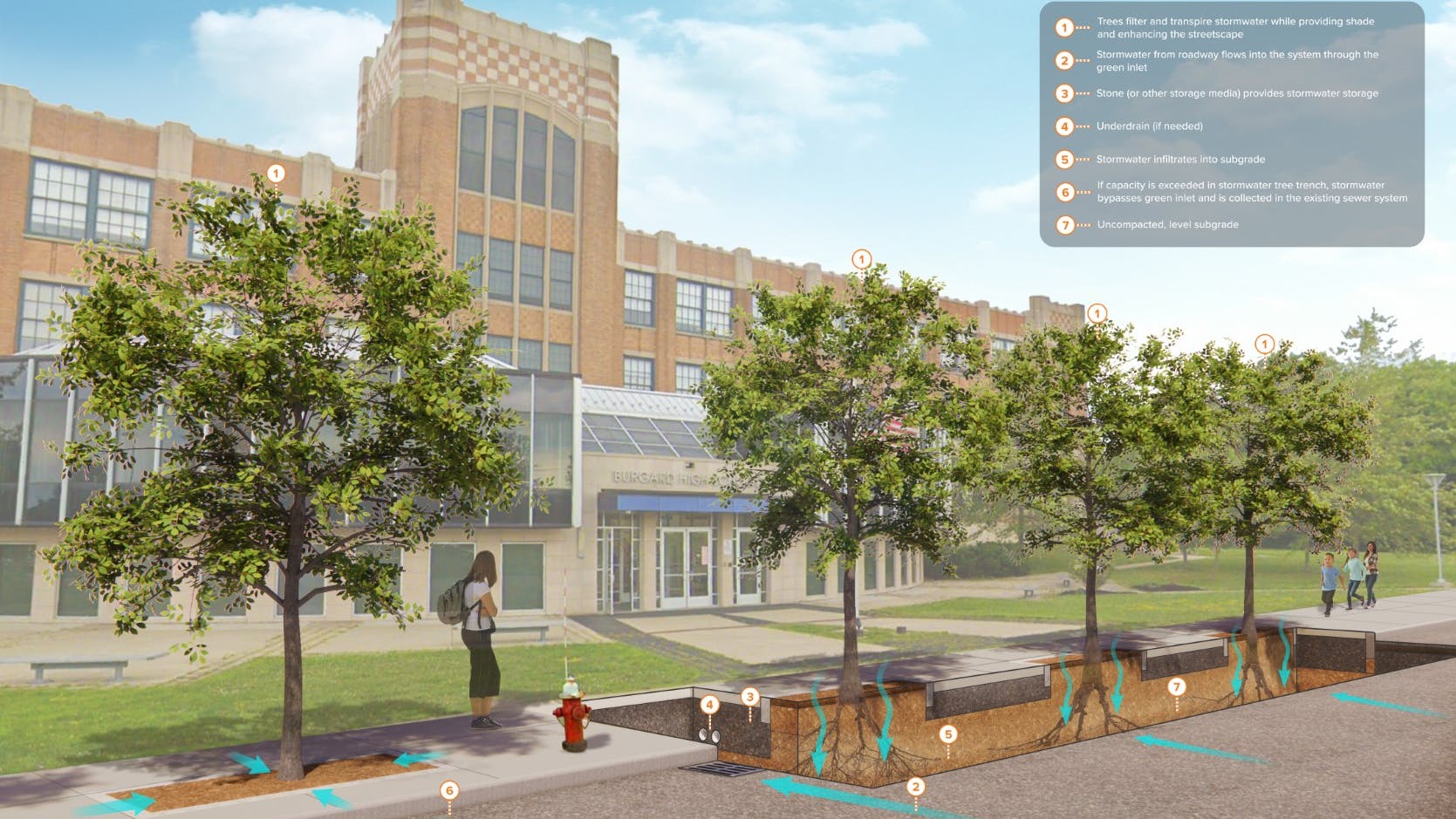 burgardhs_treetrench_proposed