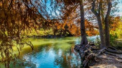 Fall foliage at Guadalupe State Park, Texas. Fall foliage at Guadalupe State Park, Texas.