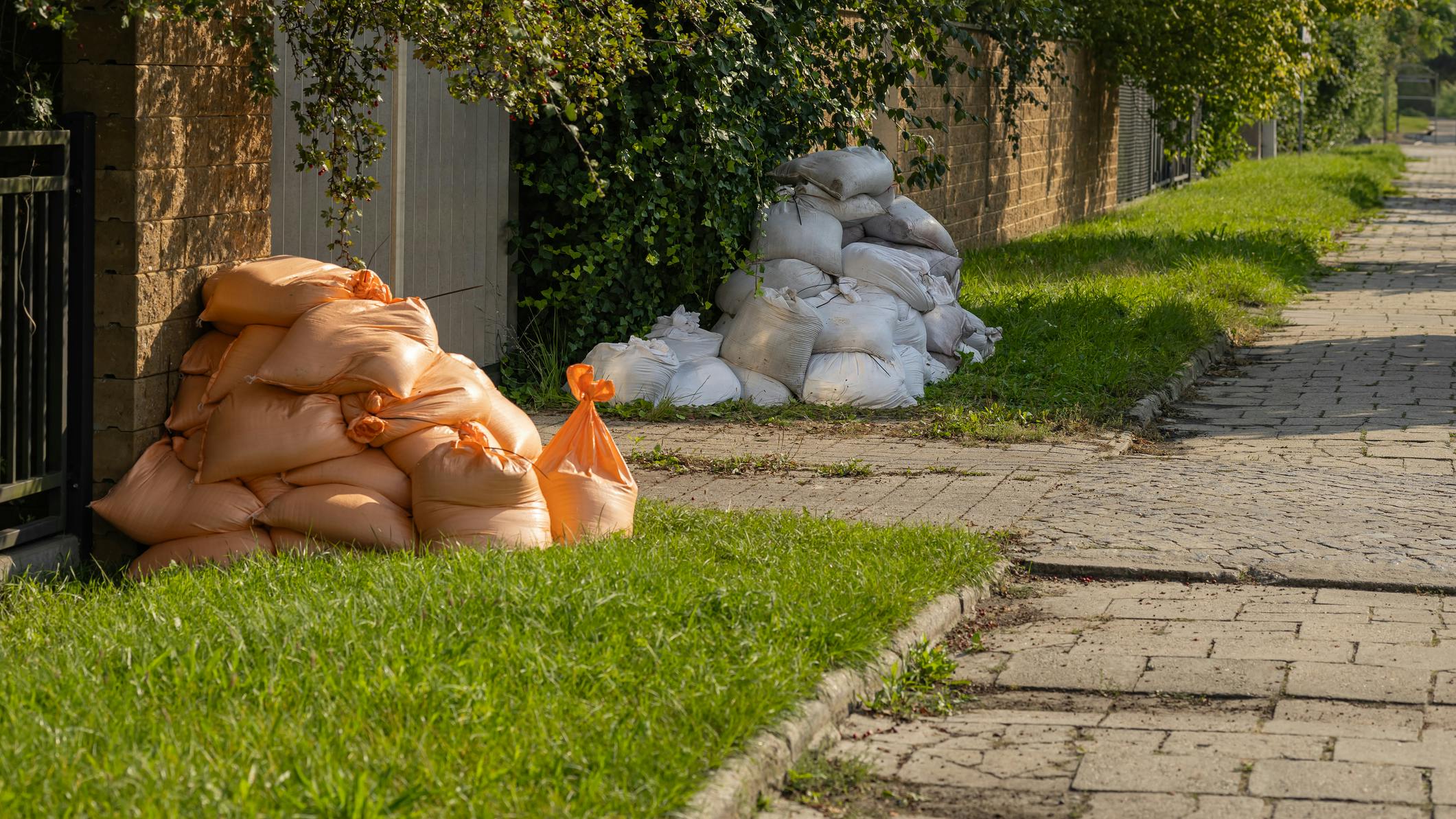 68b754222c5b35edf3155eed Dreamstime M 343283391