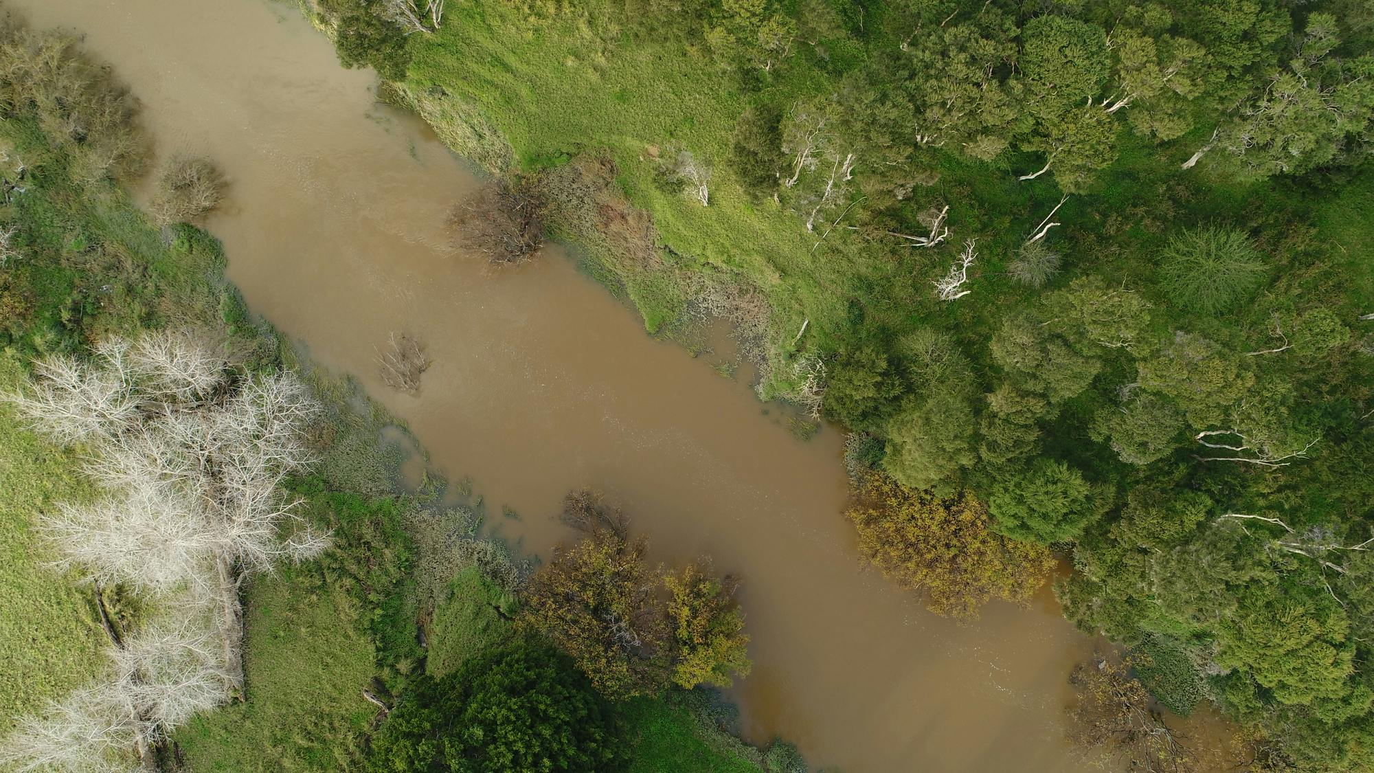Overhead shot of a flooded river with surrounding vegetation