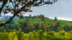 Wood treating facility fined $1 million for water quality and waste violations in Oregon