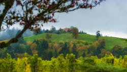 Wood treating facility fined $1 million for water quality and waste violations in Oregon Wood treating facility fined $1 million for water quality and waste violations in Oregon
