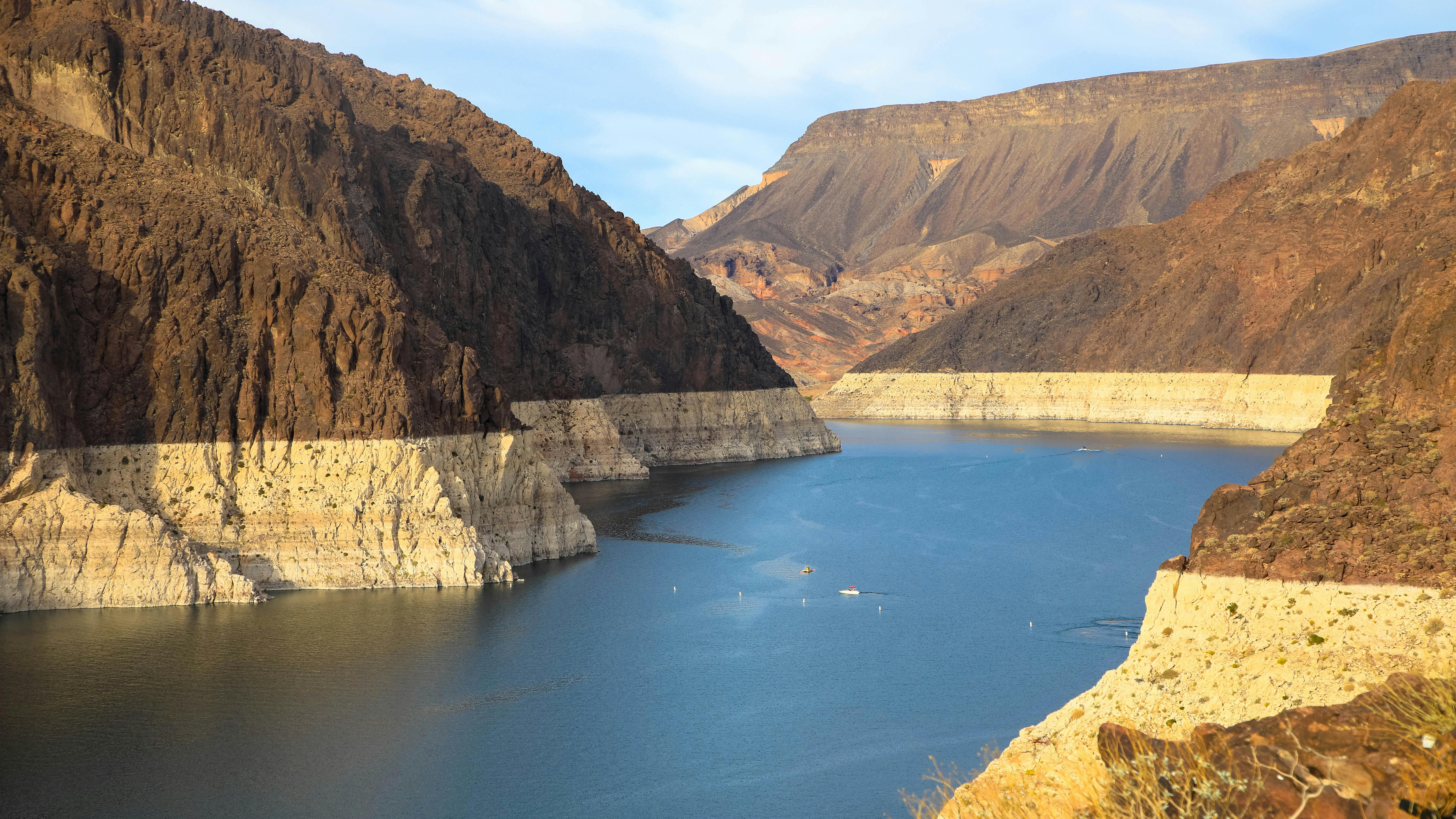 dreamstime_xxl_239269111