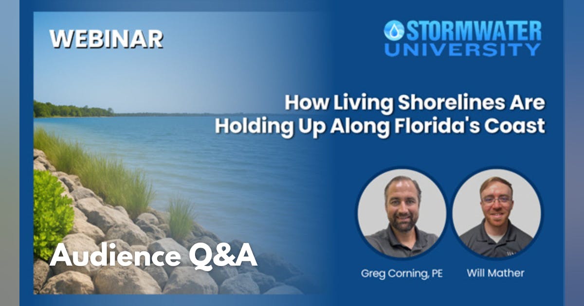 Webinar Q&A: How living shorelines are holding up along Florida's coast