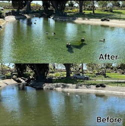 Before: Sediment buildup, murky water, algae growth After: Clearer water, improved storage capacity, healthier aquatic environment Pond conditions improved within 60 days of dredging and installing the company's proprietary biochar. Before: Sediment buildup, murky water, algae growth After: Clearer water, improved storage capacity, healthier aquatic environment Pond conditions improved within 60 days of dredging and installing the company's proprietary biochar.