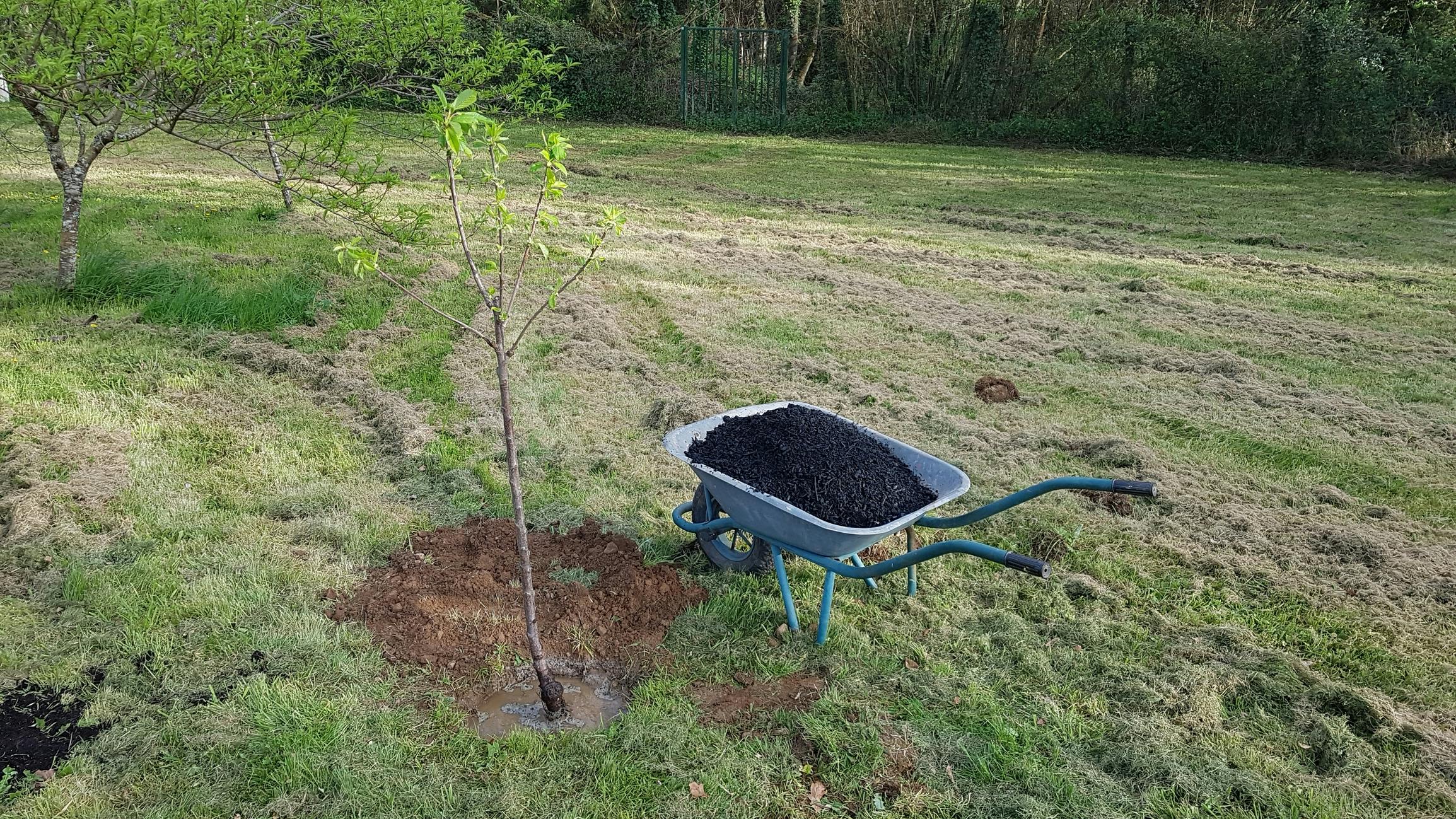 Closing the loop: Sustainable stormwater management using biochars