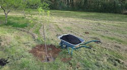 Closing the loop: Sustainable stormwater management using biochars Closing the loop: Sustainable stormwater management using biochars