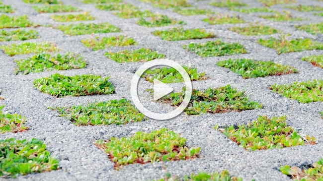 6924a39b5a0456913f2c0326 Aecom 66