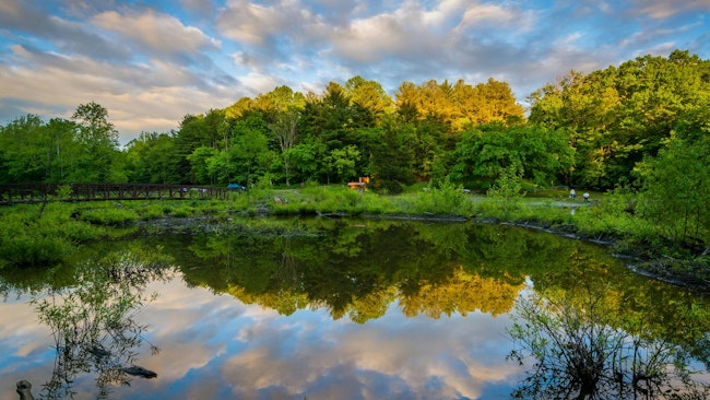 Lake Needwood at sunset, at Upper Rock Creek Park in Derwood, Maryland
