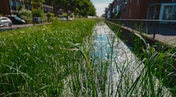 Residential Water Feature Vegetation Residential Water Feature Vegetation