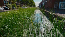 Residential Water Feature Vegetation Residential Water Feature Vegetation